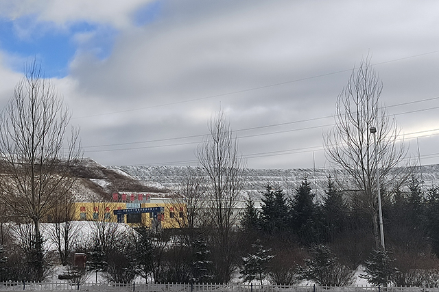 雪舞中的多銅2.jpg