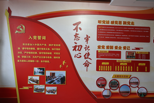 學(xué)思想 強黨性 重實踐 建新功丨多寶山銅業(yè)學(xué)做結(jié)合 扎實推進主題教育.JPG